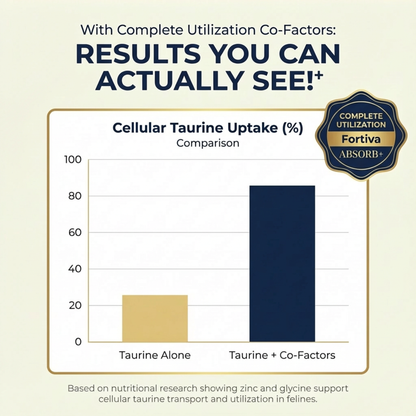 ABSORB+ Taurine Powder