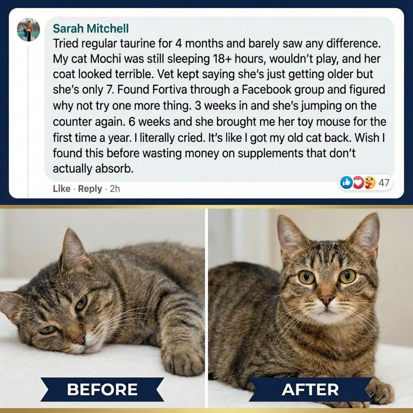 ABSORB+ Taurine Powder