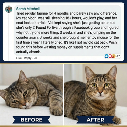 ABSORB+ Taurine Powder