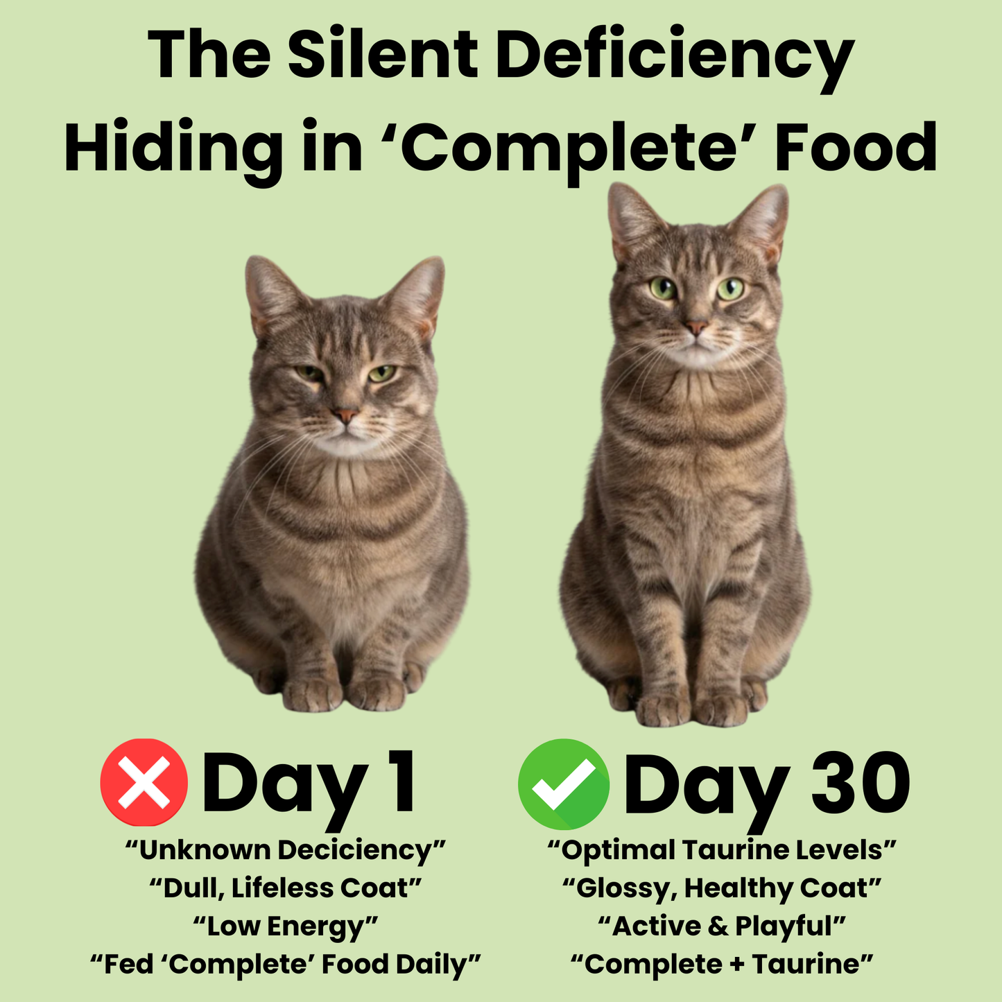 Fortiva Pure Taurine