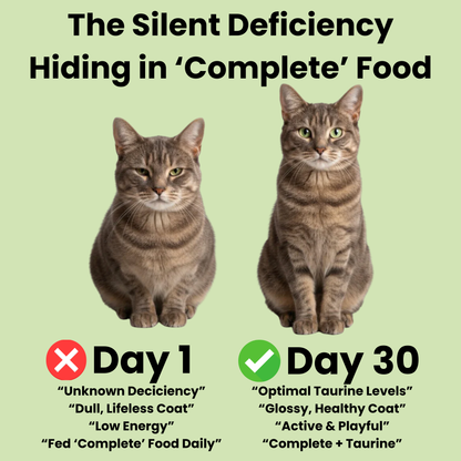 Fortiva Pure Taurine